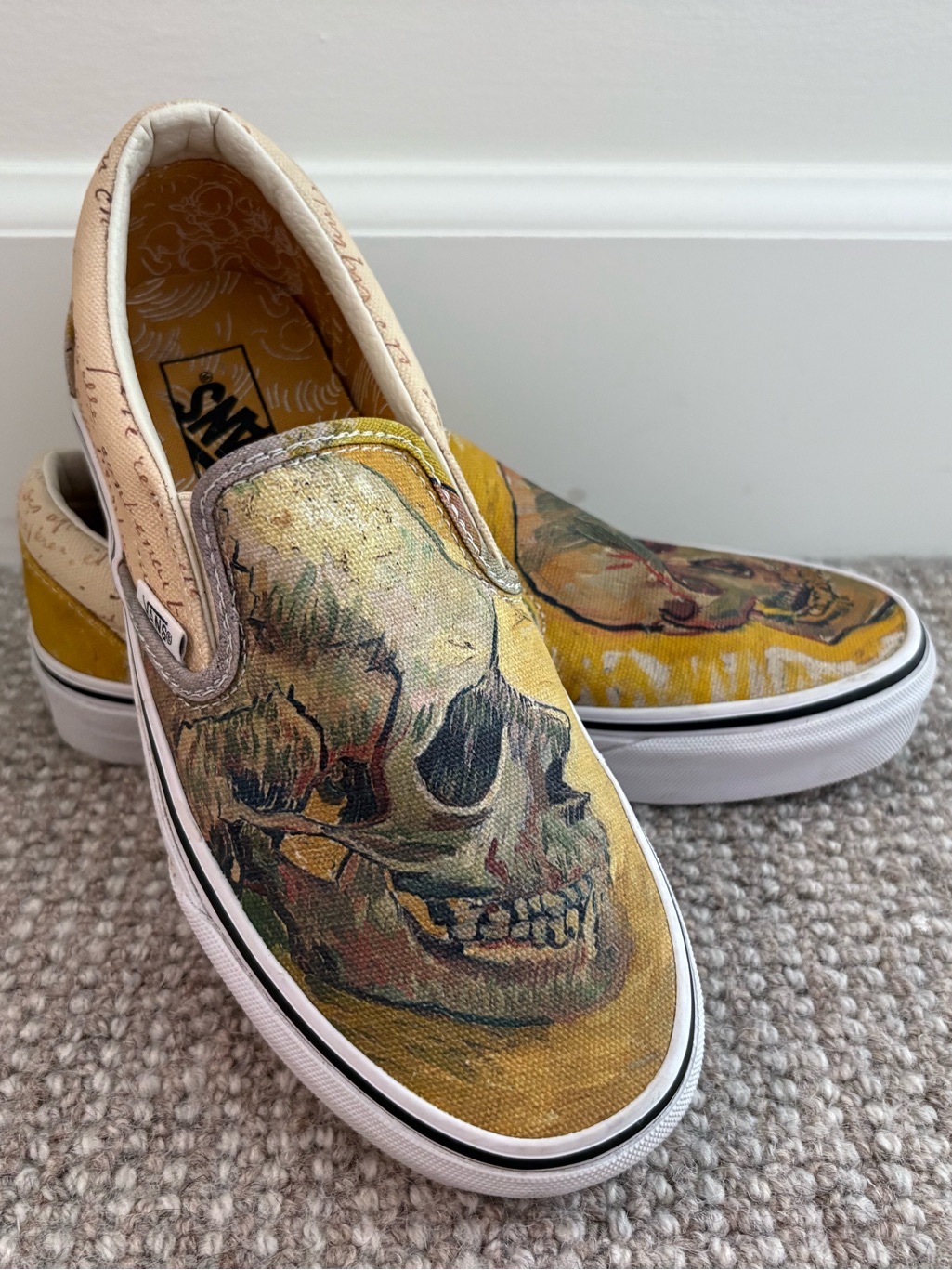 Van Gogh Skull Vans Slip On